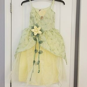 Disney Princess dress